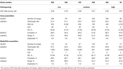 Nanopore and Illumina Genome Sequencing of Fusarium oxysporum f. sp. lini Strains of Different Virulence